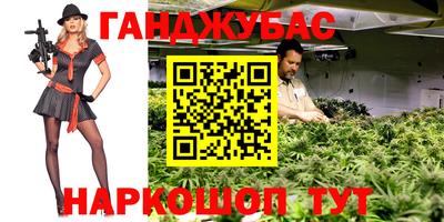 трава Кингисепп