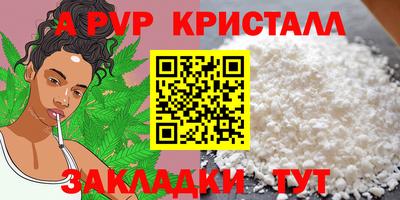 спиды Кимры